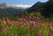 Hotel Alte Post**** Hotel Alte Post****