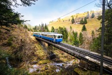 Zahnradbahn ab Goldau © Brigitte Marty