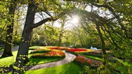 ©Keukenhof
