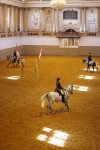 Spanische Hofreitschule ©Peter Rigaud