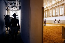 Spanische Hofreitschule ©Peter Rigaud