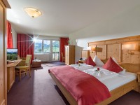 Hotel Harfenwirt***