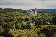 © Weinland Thermenregion, Adrian Almasan