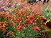 Oberleitner Gartenkultur