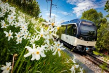 © MOB - GoldenPass