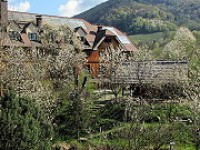 Busreisen.cc, Gruppenreisen, Österreich, Niederösterreich, Naturhotel Steinschalerhof 