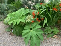 Oberleitner Gartenkultur