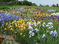 Oberleitner Gartenkultur