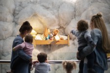 Steiff Museum