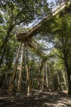 „Panarbora“ – Naturerlebnispark