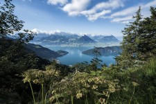 120km Wanderwege zu entdecken © Rigi Bahnen AG