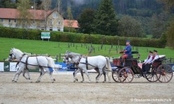 © Lipizzanergestüt Piber