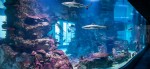 360° Haibecken ©Dominik Moser