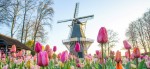 ©Keukenhof