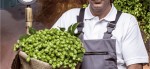 TRUMER Privatbrauerei Josef Sigl