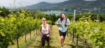 Klagenfurt am Wörthersee GmbH
