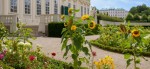 © Unteres Belvdere Kammergarten, Johannes Stoll, Wien