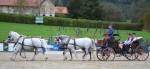 Lipizzanergestüt Piber