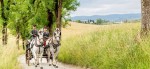 Lipizzanergestüt Piber