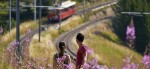 Barrierefreier Wanderweg © Rigi Bahnen AG