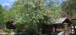 Steinschaler Naturhotel****
