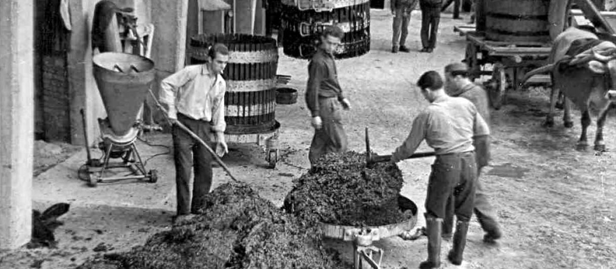 © Distilleria Bertagnolli