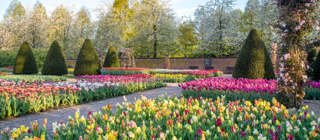 ©Keukenhof