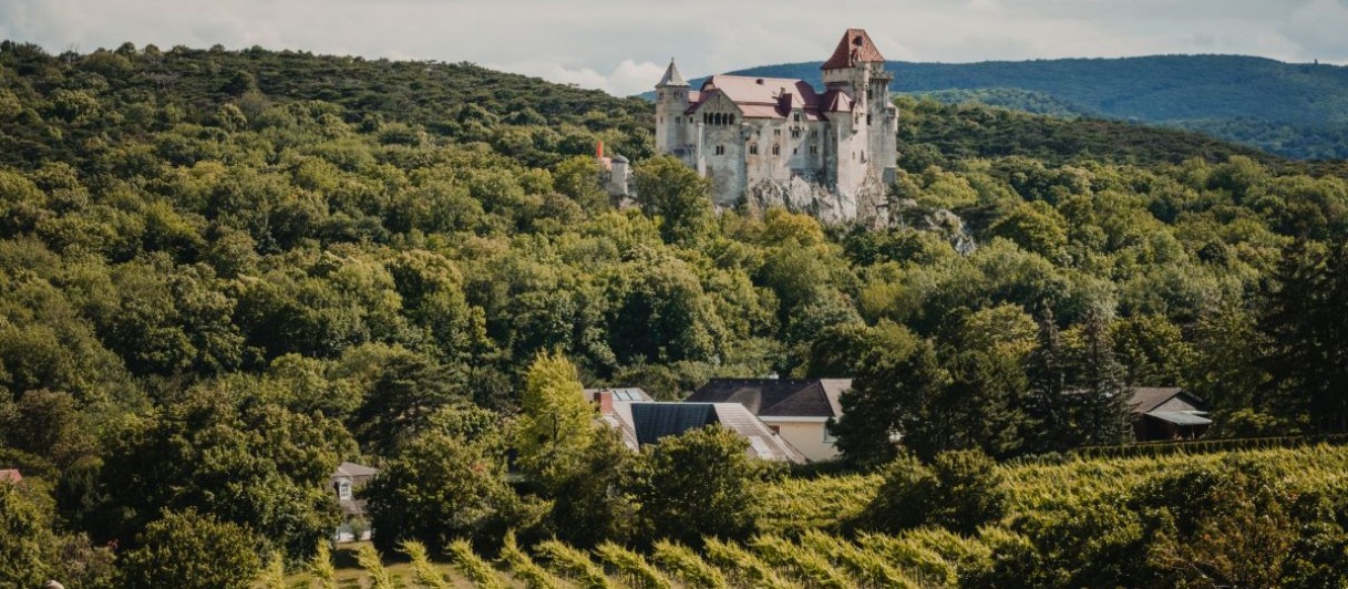 © Weinland Thermenregion, Adrian Almasan