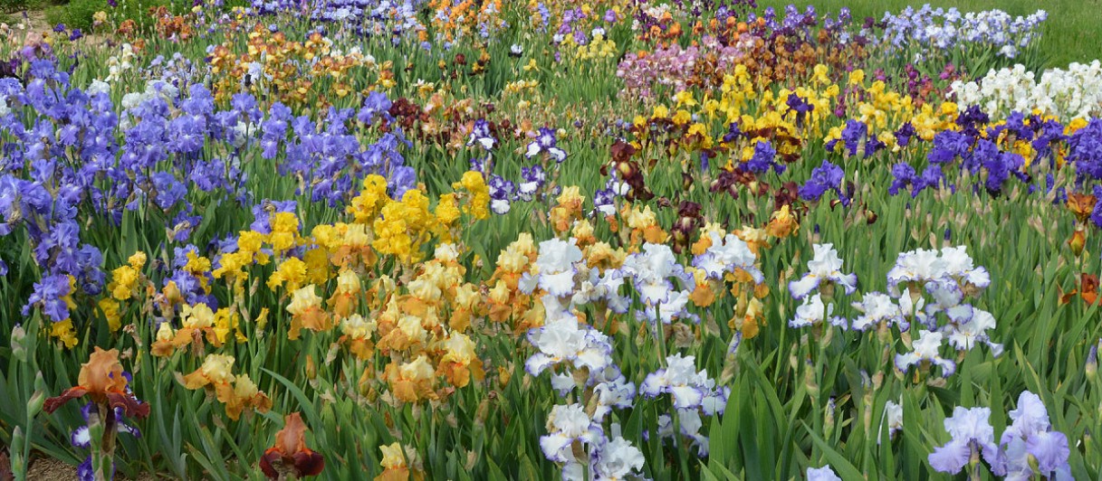Oberleitner Gartenkultur