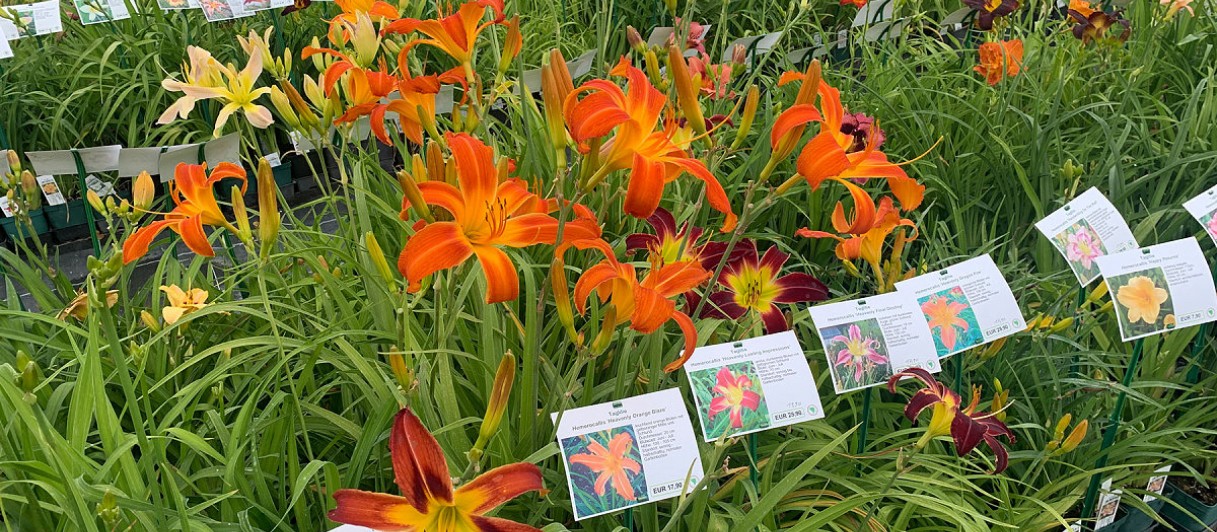 Oberleitner Gartenkultur