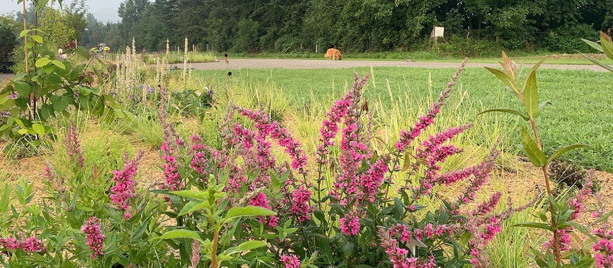 Oberleitner Gartenkultur