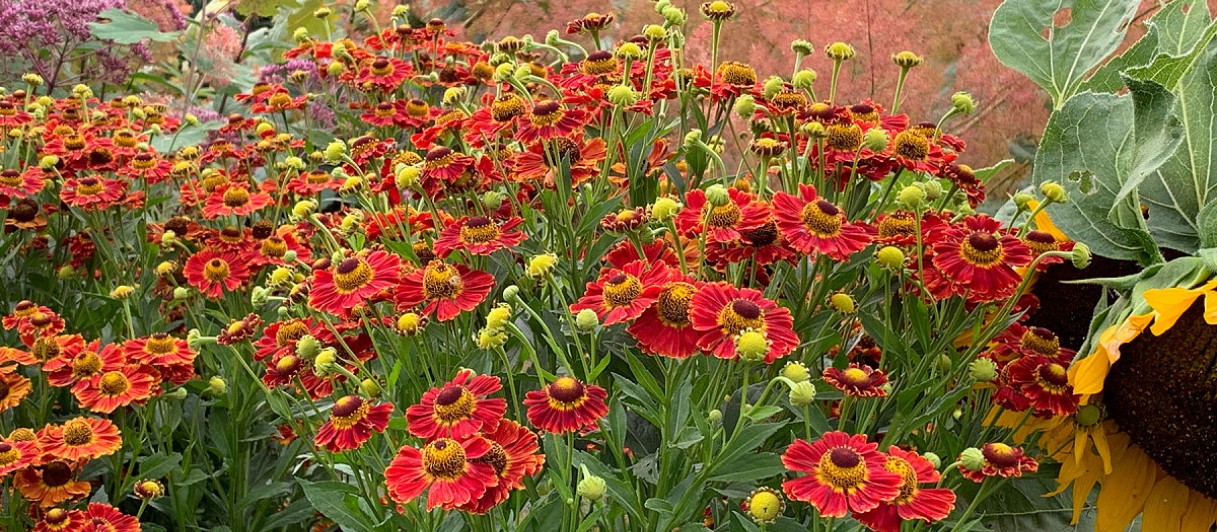 Oberleitner Gartenkultur