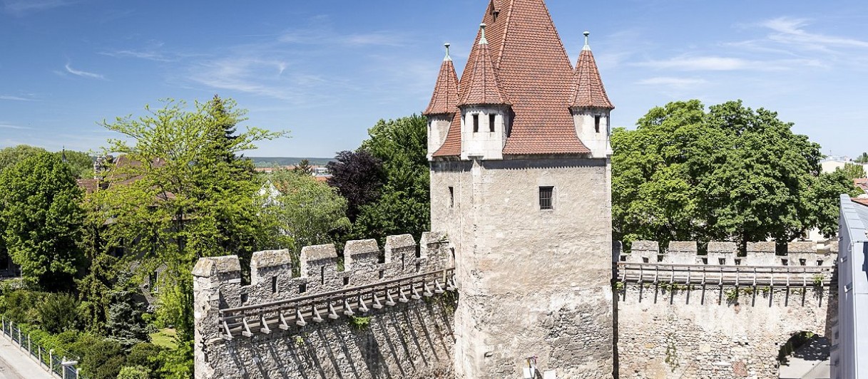 Wiener Neustadt, Reckturm