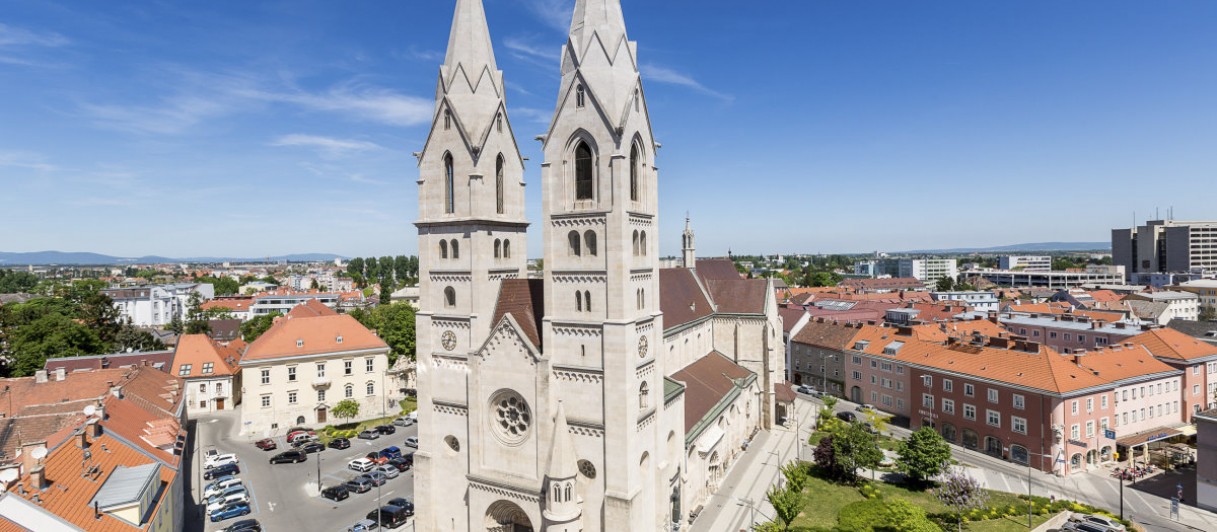 Der Wiener Neustädter Dom