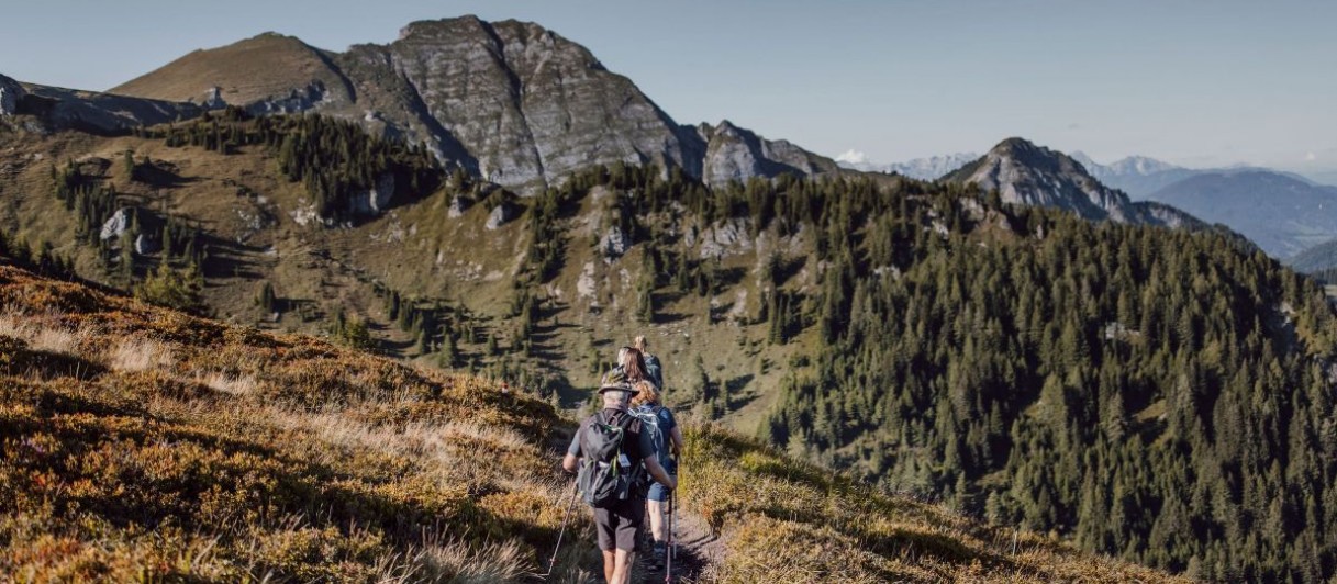 Hotel Alte Post**** Hotel Alte Post****