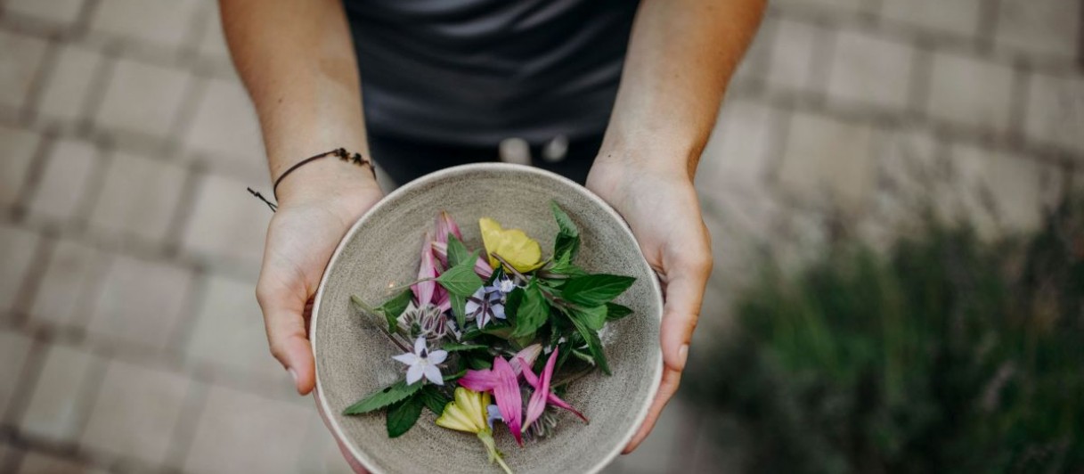 Hotel Alte Post**** Hotel Alte Post****