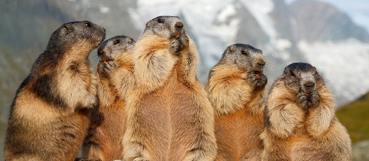 ©Großglockner Hochalpenstraßen AG ©Großglockner Hochalpenstraßen AG