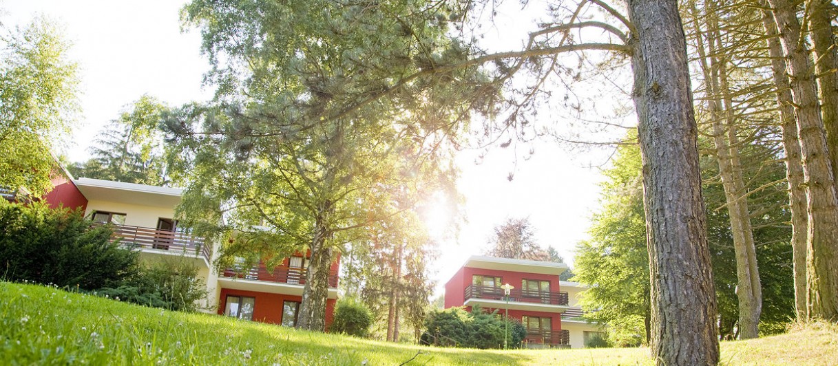 Hotel-Restaurant Ottenstein***