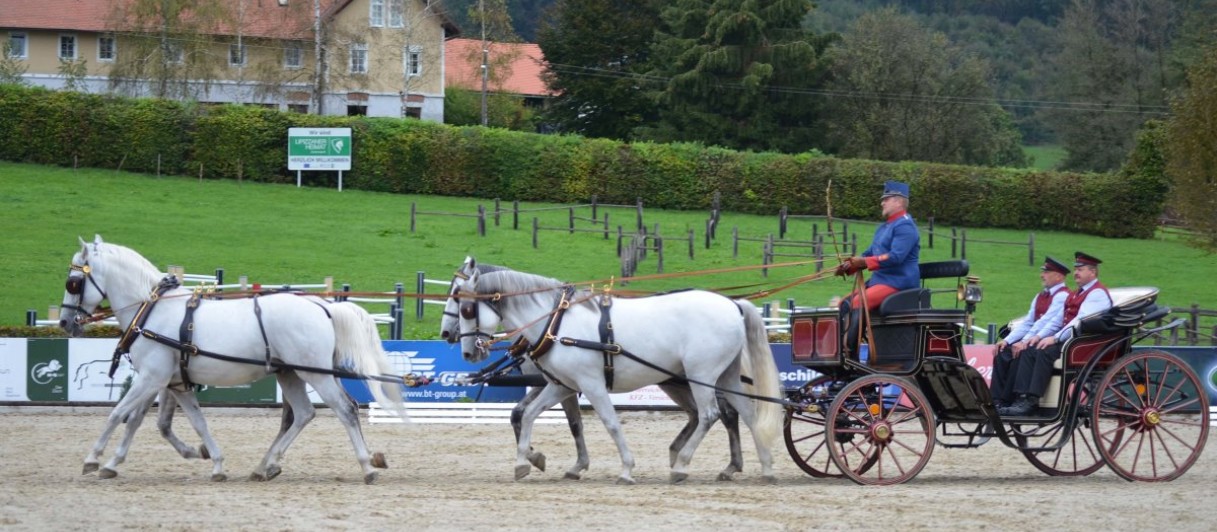 Lipizzanergestüt Piber