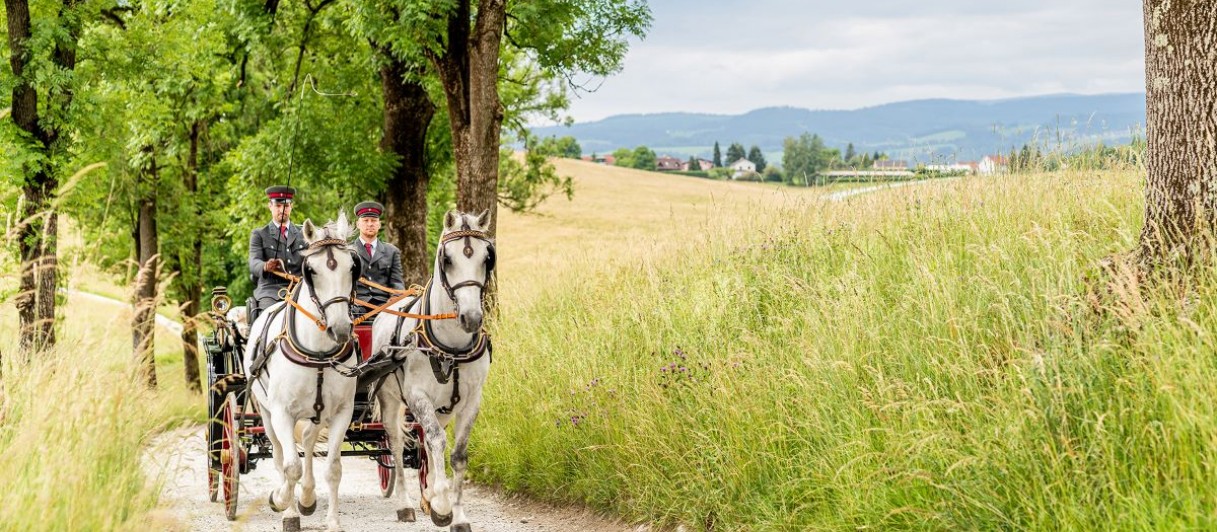 Lipizzanergestüt Piber