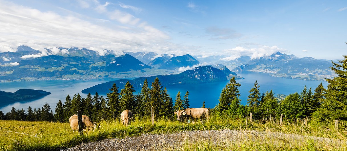Seesicht auf Vierwaldstättersee © Brigitte Marty