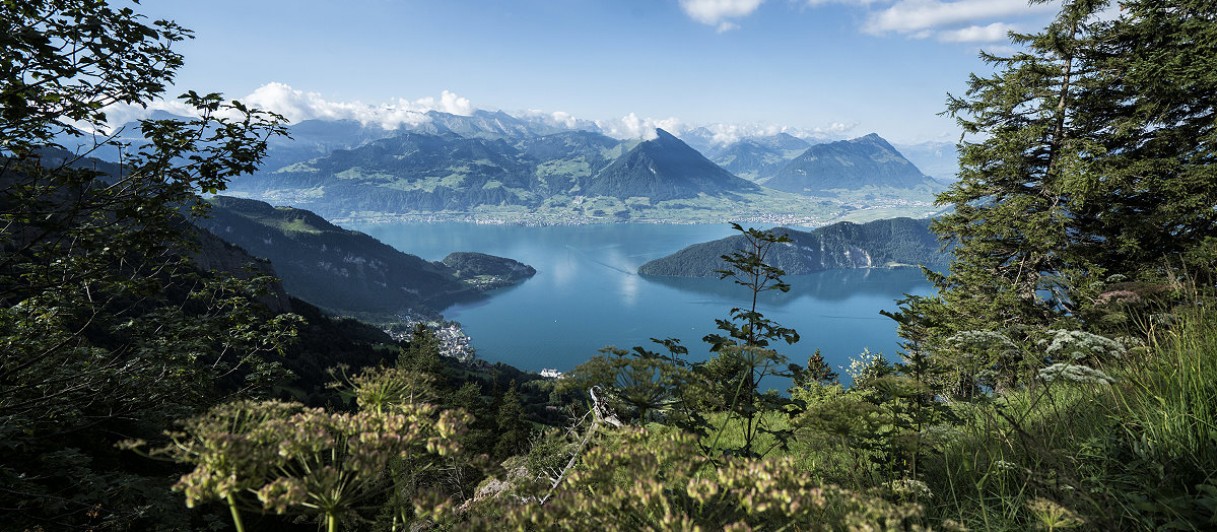120km Wanderwege zu entdecken © Rigi Bahnen AG