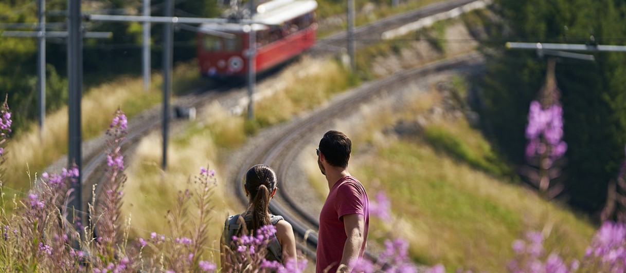 Barrierefreier Wanderweg © Rigi Bahnen AG