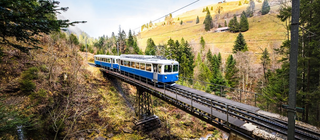 Zahnradbahn ab Goldau © Brigitte Marty