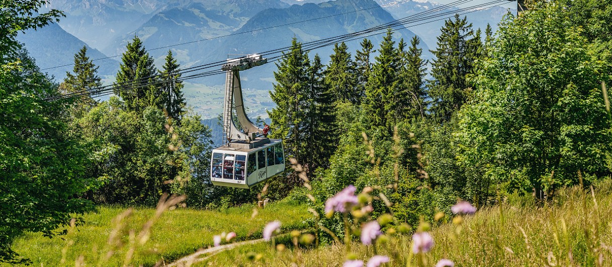 Luftseilbahn Weggis - Rigi Kaltbad © got your guide