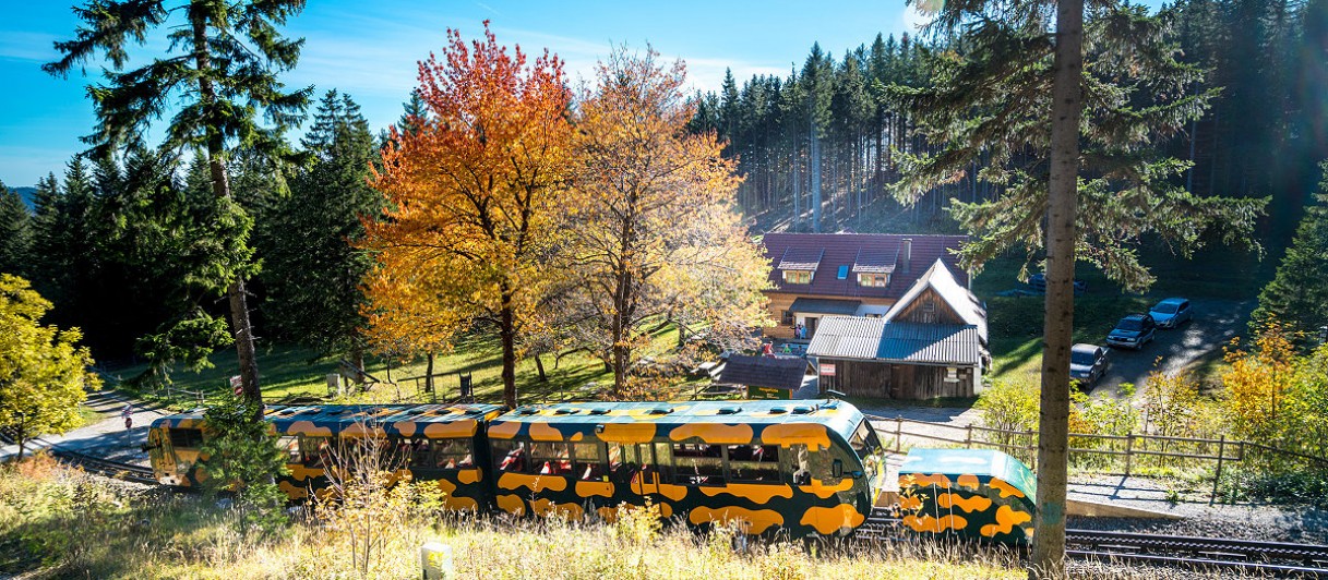 Schneebergbahn und Puchis Welt